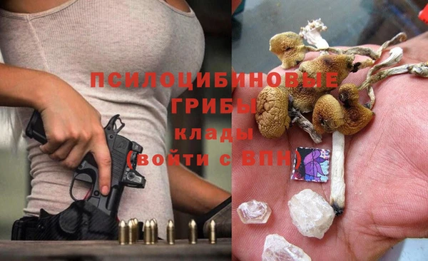 ECSTASY Богородск