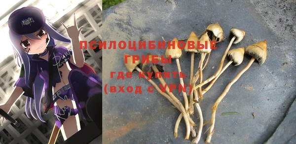 спайс Богданович