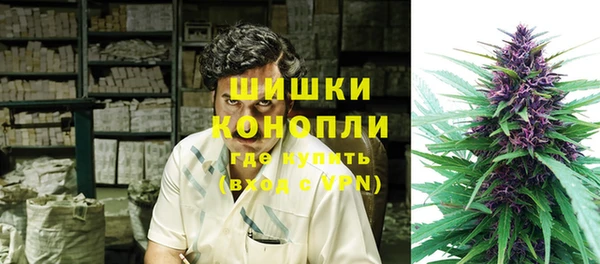 ECSTASY Богородск