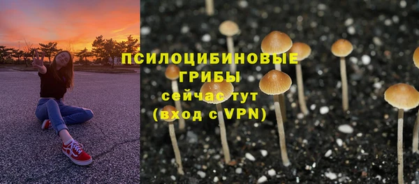 ECSTASY Богородск
