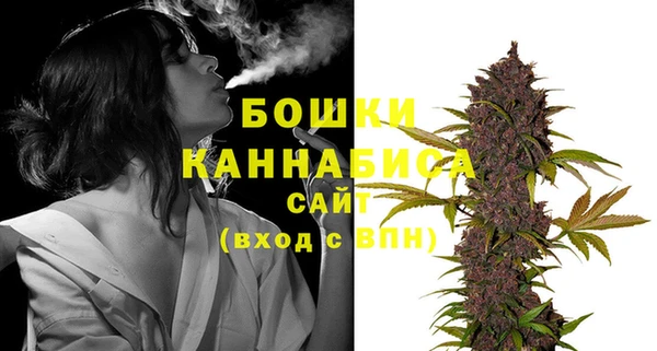 спайс Богданович