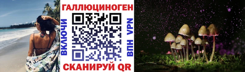 Купить  Армянск  Псилоцибиновые грибы MAGIC MUSHROOMS 